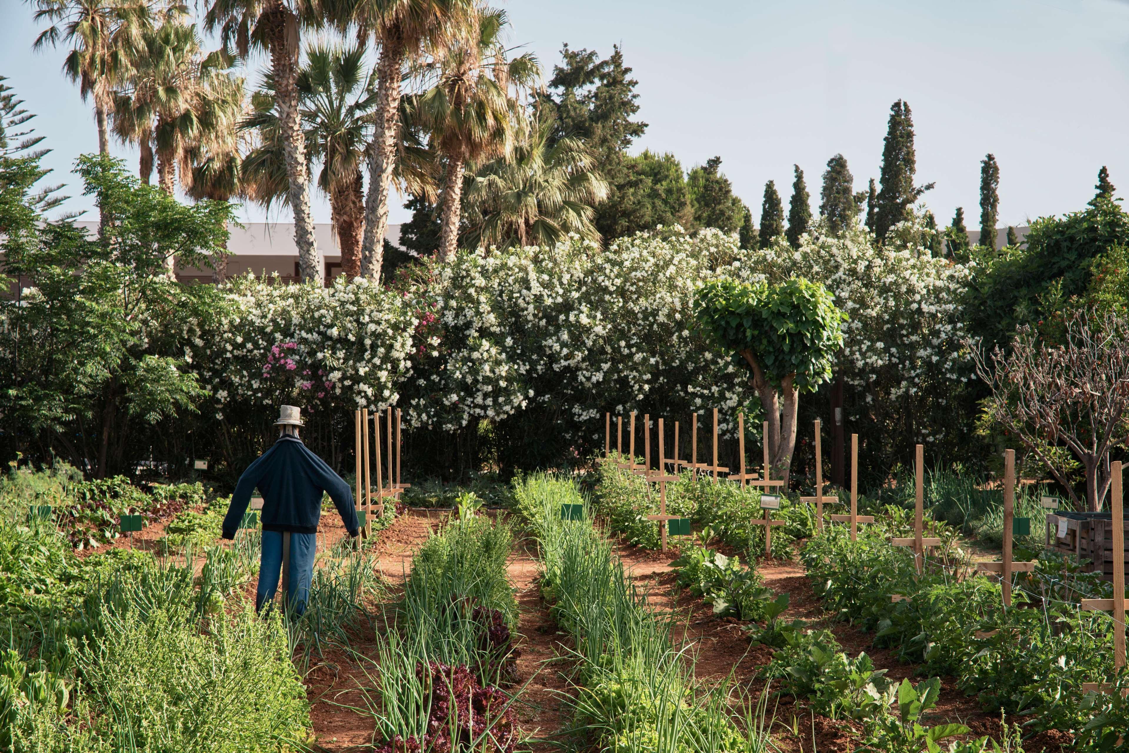 Phaea Cretan Malia, A Member Of Design Hotels 외부 사진