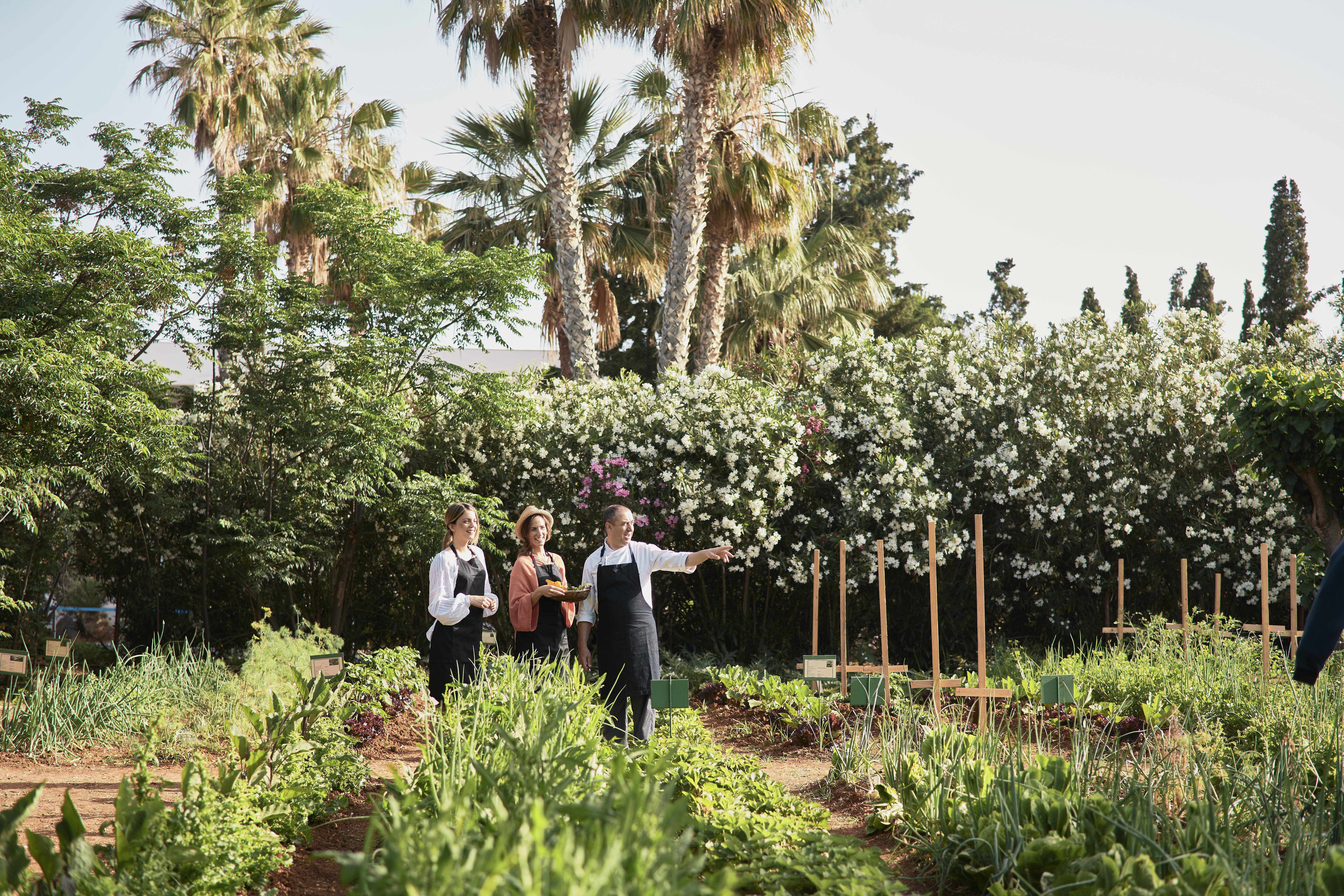 Phaea Cretan Malia, A Member Of Design Hotels 외부 사진